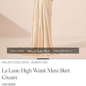 Shona Joy Maxi skirt